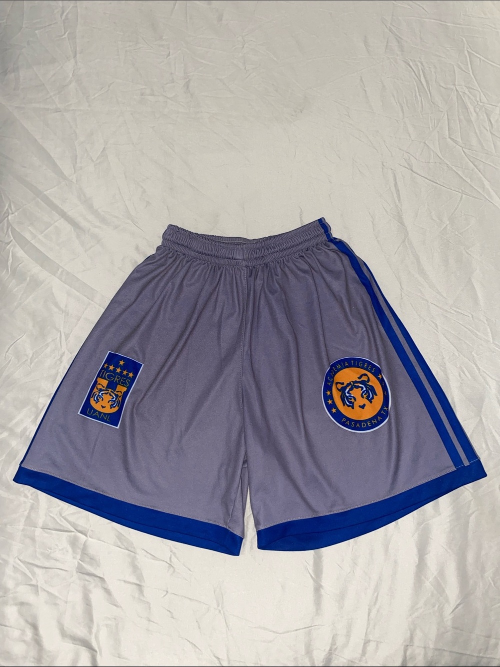 Men's Gray Athletic Shorts with Blue Trim